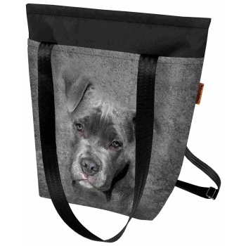 bertoni unisex`s backpack/bag 2in1 pit bull σε προσφορά