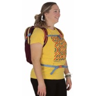 σακίδιο πλάτης osprey daylite moody burgundy universal